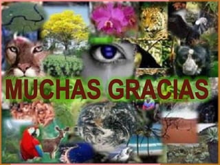 LA PSICOLOGIA DE ARISTOTELES