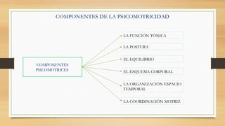 COMPONENTES DE LA PSICOMOTRICIDAD
COMPONENTES
PSICOMOTRICES
LA FUNCIÓN TÓNICA
LA POSTURA
EL EQUILIBRIO
EL ESQUEMA CORPORAL
LA ORGANIZACIÓN ESPACIO
TEMPORAL
LA COORDINACIÓN MOTRIZ
 