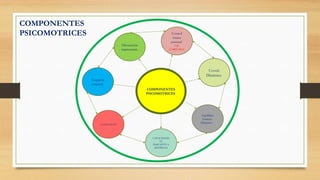 COMPONENTES
PSICOMOTRICES
Esquema
corporal
Disociación
segmentaria
Control
tónico
postural
EJE
CORPORAL
CAPACIDESD
ES
PERCEPTIVA
MOTRICES
Coord.
Dinámica
Equilibrio
Estático
Dinámico
LATERALIDAD
COMPONENTES
PSICOMOTRICES
 