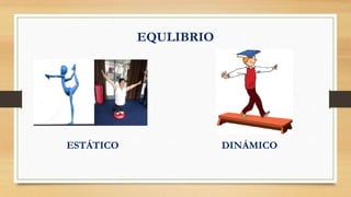 EQULIBRIO
ESTÁTICO DINÁMICO
 