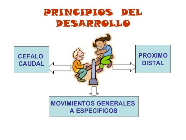 Image result for desarrollo proximodistal