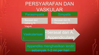 Parasimpatis
• Berasal dari
cabang N.
Vagus
Simpatis
• Berasal dari N.
Thoracalis X
• berasal dari A.
Appendicularis
Vaskularisas
i
Appendiks menghasilkan lendir
sebanyak 1-2 ml per hari
PERSYARAFAN DAN
VASKULAR
 