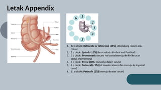 case report Appendicitis akut pada wanita.pptx