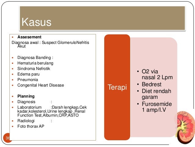 kgb test heart anak glomerulonefritis kgb test heart anak glomerulonefritis