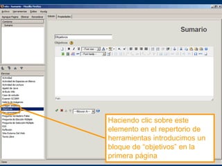 Haciendo clic sobre este
elemento en el repertorio de
herramientas introducimos un
bloque de “objetivos” en la
primera página
 