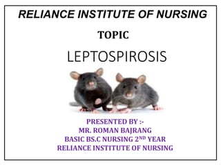 LEPTOSPIROSIS
RELIANCE INSTITUTE OF NURSING
TOPIC
PRESENTED BY :-
MR. ROMAN BAJRANG
BASIC BS.C NURSING 2ND YEAR
RELIANCE INSTITUTE OF NURSING
 