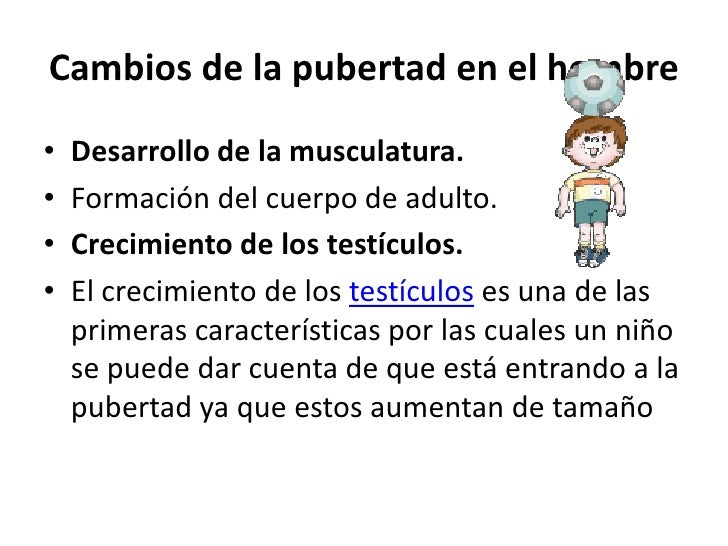 El aumento de los huevos del miembro viril