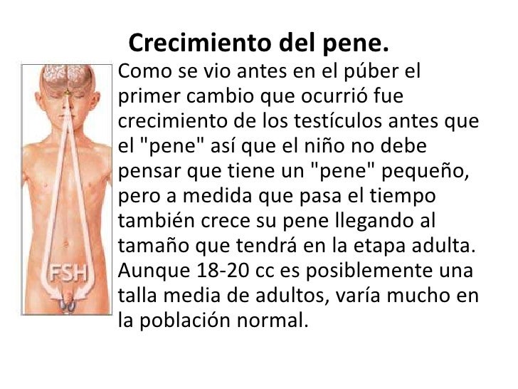 Un muy pequeño miembro cerca del trance