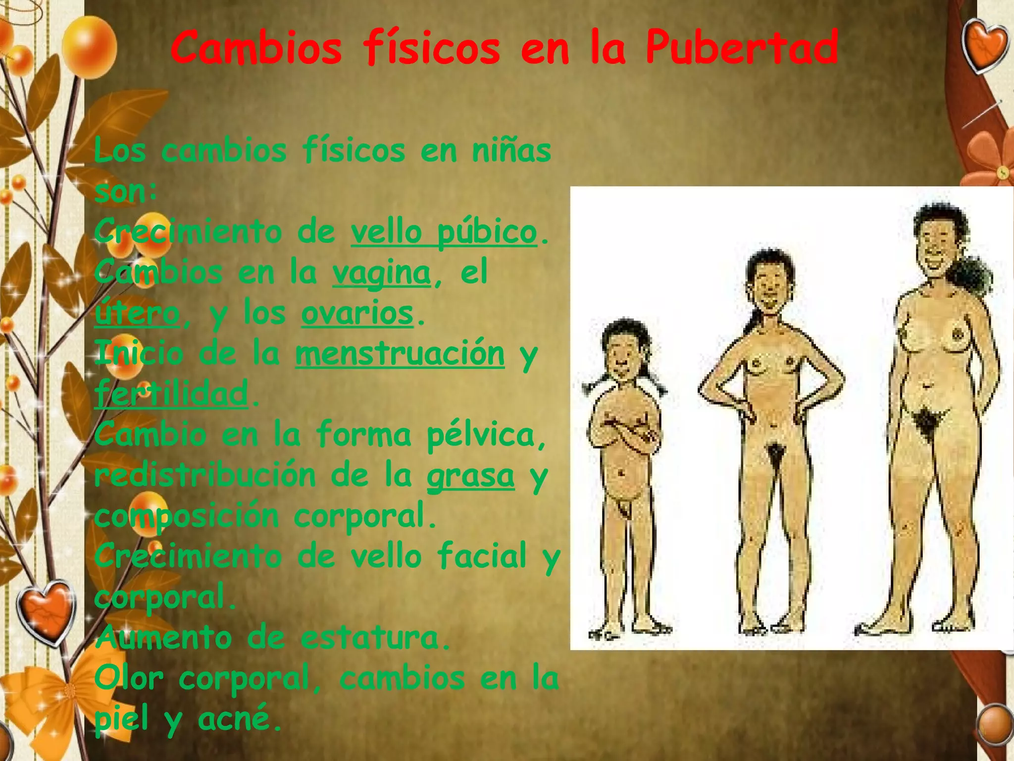 Cambios físicos en la Pubertad
Los cambios físicos en niñas
son:
Crecimiento de vello púbico.
Cambios en la vagina, el
útero, y los ovarios.
Inicio de la menstruación y
fertilidad.
Cambio en la forma pélvica,
redistribución de la grasa y
composición corporal.
Crecimiento de vello facial y
corporal.
Aumento de estatura.
Olor corporal, cambios en la
piel y acné.

 
