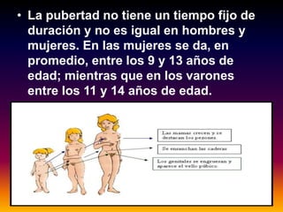 • La pubertad no tiene un tiempo fijo de
duración y no es igual en hombres y
mujeres. En las mujeres se da, en
promedio, entre los 9 y 13 años de
edad; mientras que en los varones
entre los 11 y 14 años de edad.
 