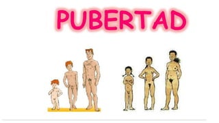 La pubertad