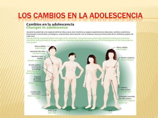 LOS CAMBIOS EN LA ADOLESCENCIA
 