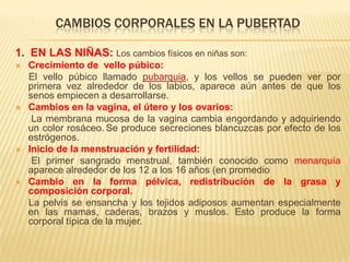CAMBIOS CORPORALES EN LA PUBERTAD
1. EN LAS NIÑAS: Los cambios físicos en niñas son:
 Crecimiento de vello púbico:
El vello púbico llamado pubarquia, y los vellos se pueden ver por
primera vez alrededor de los labios, aparece aún antes de que los
senos empiecen a desarrollarse.
 Cambios en la vagina, el útero y los ovarios:
La membrana mucosa de la vagina cambia engordando y adquiriendo
un color rosáceo. Se produce secreciones blancuzcas por efecto de los
estrógenos.
 Inicio de la menstruación y fertilidad:
El primer sangrado menstrual, también conocido como menarquía
aparece alrededor de los 12 a los 16 años (en promedio
 Cambio en la forma pélvica, redistribución de la grasa y
composición corporal.
La pelvis se ensancha y los tejidos adiposos aumentan especialmente
en las mamas, caderas, brazos y muslos. Esto produce la forma
corporal típica de la mujer.
 