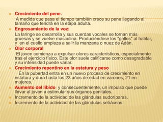  Crecimiento del pene.
A medida que pasa el tiempo también crece su pene llegando al
tamaño que tendrá en la etapa adulta.
 Engrosamiento de la voz:
La laringe se desarrolla y sus cuerdas vocales se tornan más
gruesas y se vuelve masculina. Produciéndose los "gallos" al hablar,
y en el cuello empieza a salir la manzana o nuez de Adán.
 Olor corporal
El joven comienza a expulsar olores característicos, especialmente
tras el ejercicio físico. Este olor suele calificarse como desagradable
y su intensidad puede variar.
 Crecimiento repentino en la estatura y peso
En la pubertad entra en un nuevo proceso de crecimiento en
estatura y dura hasta los 23 años de edad en varones, 21 en
mujeres.
 Aumento del libido y consecuentemente, un impulso que puede
llevar al joven a estimular sus órganos genitales.
 Incremento de la actividad de las glándulas sudoríparas.
 Incremento de la actividad de las glándulas sebáceas.
 