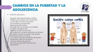  Cambios masculinos:
-Aparece vello facial (bigote y barba)
-Posible acné (debido a las hormonas)
-La voz falla y se hace más grave
-Los hombros se ensanchan
-Aparece el vello púbico
-Crece el vello en el pecho y la espalda
-El cuerpo transpira más
-Aparece el vello en las axilas
-Los testículos y el pene aumentan de tamaño
-El cabello y la piel se vuelven más grasos
-Aumenta el peso y la altura
-Las manos y los pies aumentan de tamaño
-Aumenta el vello en los brazos
-Crece el vello en las piernas
-Se inicia la capacidad reproductora
-Eyaculación
 