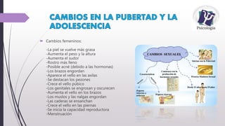  Cambios femeninos:
-La piel se vuelve más grasa
-Aumenta el peso y la altura
-Aumenta el sudor
-Rostro más lleno
-Posible acné (debido a las hormonas)
-Los brazos engordan
-Aparece el vello en las axilas
-Se destacan los pezones
-Crece el vello púbico
-Los genitales se engrosan y oscurecen
-Aumenta el vello en los brazos
-Los muslos y las nalgas engordan
-Las caderas se ensanchan
-Crece el vello en las piernas
-Se inicia la capacidad reproductora
-Menstruación
 