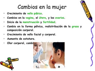 Crecimiento de  vello púbico .  Cambios en la  vagina , el  útero , y los  ovarios . Inicio de la  menstruación  y  fertilidad . Cambio en la forma pélvica, redistribución de la  grasa  y composición corporal.  Crecimiento de vello facial y corporal. Aumento de estatura. Olor corporal, cambios en la piel y acné. Cambios en la mujer 