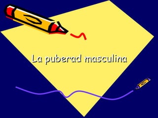 La puberad masculina 