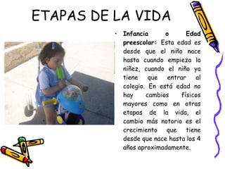 ETAPAS DE LA VIDA Infancia o Edad preescolar:  Esta edad es desde que el niño nace hasta cuando empieza la niñez, cuando el niño ya tiene que entrar al colegio. En está edad no hay cambios físicos mayores como en otras etapas de la vida, el cambio más notorio es el crecimiento que tiene desde que nace hasta los 4 años aproximadamente. 