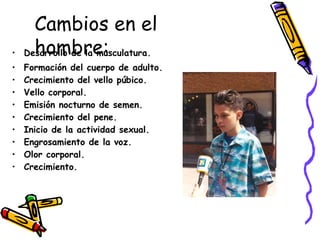 Desarrollo de la musculatura.   Formación del cuerpo de adulto. Crecimiento del vello púbico. Vello corporal. Emisión nocturno de semen. Crecimiento del pene. Inicio de la actividad sexual. Engrosamiento de la voz. Olor corporal. Crecimiento. Cambios en el hombre: 