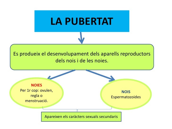Resultat d'imatges de pubertat