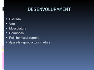 DESENVOLUPAMENT
 Estirada
 Veu
 Musculatura
 Hormones
 Pèl i borrissol corporal
 Aparells reproductors madurs
 