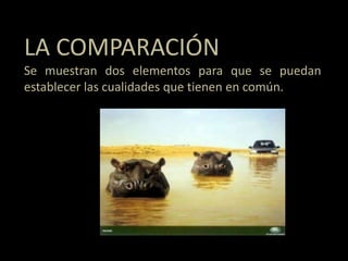 LA COMPARACIÓN
Se muestran dos elementos para que se puedan
establecer las cualidades que tienen en común.
 