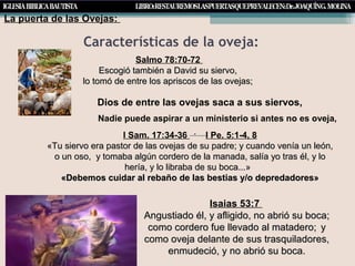 Características de la oveja:
La puerta de las Ovejas:
Salmo 78:70-72
Escogió también a David su siervo,Escogió también a David su siervo,
lo tomó de entre los apriscos de las ovejas;lo tomó de entre los apriscos de las ovejas;
Dios de entre las ovejas saca a sus siervos,
Nadie puede aspirar a un ministerio si antes no es oveja,
I Sam. 17:34-36 -
I Pe. 5:1-4, 8
«Tu siervo era pastor de las ovejas de su padre; y cuando venía un león,«Tu siervo era pastor de las ovejas de su padre; y cuando venía un león,
o un oso, y tomaba algún cordero de la manada, salía yo tras él, y loo un oso, y tomaba algún cordero de la manada, salía yo tras él, y lo
hería, y lo libraba de su boca...»hería, y lo libraba de su boca...»
«Debemos cuidar al rebaño de las bestias y/o depredadores»«Debemos cuidar al rebaño de las bestias y/o depredadores»
Isaias 53:7
Angustiado él, y afligido, no abrió su boca;Angustiado él, y afligido, no abrió su boca;
como cordero fue llevado al matadero;como cordero fue llevado al matadero; yy
como oveja delante de sus trasquiladores,como oveja delante de sus trasquiladores,
enmudeció, y no abrió su boca.enmudeció, y no abrió su boca.
 