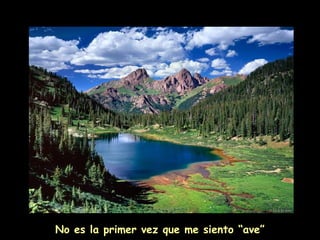 No es la primer vez que me siento “ave”
 