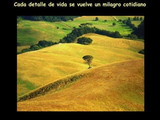 Cada detalle de vida se vuelve un milagro cotidiano
 
