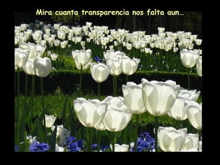 Mira cuanta transparencia nos falta aun…
 