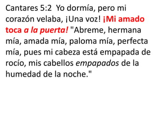 Cantares 5:2 Yo dormía, pero mi
corazón velaba, ¡Una voz! ¡Mi amado
toca a la puerta! "Abreme, hermana
mía, amada mía, paloma mía, perfecta
mía, pues mi cabeza está empapada de
rocío, mis cabellos empapados de la
humedad de la noche."
 