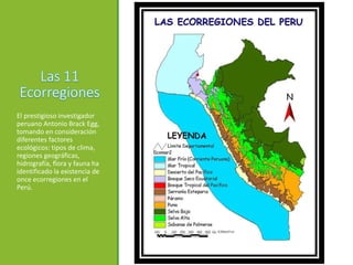 El prestigioso investigador
peruano Antonio Brack Egg,
tomando en consideración
diferentes factores
ecológicos: tipos de clima,
regiones geográficas,
hidrografía, flora y fauna ha
identificado la existencia de
once ecorregiones en el
Perú.
 