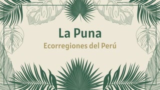 La Puna
Ecorregiones del Perú
 