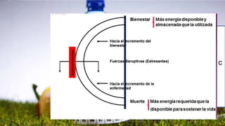 La condición en la cual todas las partes y sus c
omponentes se encuentran en armonía
Salud
 