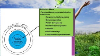 Cada ser humano es una persona total confor
mada por capas y es multidimensional. La pers
a se representa por una serie de anillos o círcul
os concéntricos
PERSONA
 