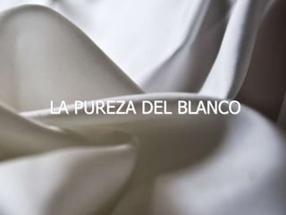 LA PUREZA DEL BLANCO 
 