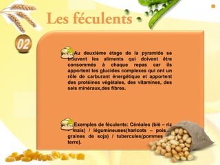 Au deuxième étage de la pyramide se
trouvent les aliments qui doivent être
consommés à chaque repas car ils
apportent les glucides complexes qui ont un
rôle de carburant énergétique et apportent
des protéines végétales, des vitamines, des
sels minéraux,des fibres.
Exemples de féculents: Céréales (blé – riz
- maïs) / légumineuses(haricots – pois –
graines de soja) / tubercules(pommes de
terre).
Les féculents
 