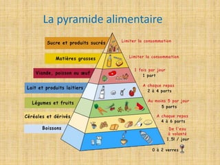 La pyramide alimentaire
 