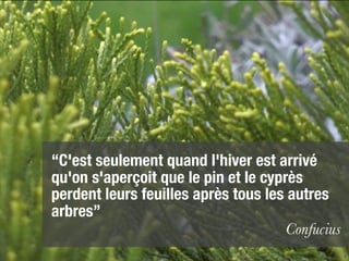 “C'est seulement quand l'hiver est arrivé
qu'on s'aperçoit que le pin et le cyprès
perdent leurs feuilles après tous les autres
arbres”
                                      Confucius
                                                  4
 