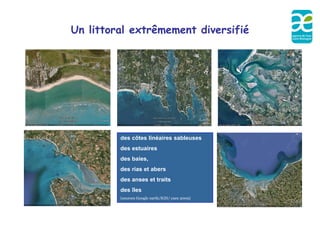 Un littoral extrêmement diversifié




         des côtes linéaires sableuses
         des estuaires
         des baies,
         des rias et abers
         des anses et traits
         des îles
         (sources Google earth/IGN/ cnes 2009)
 