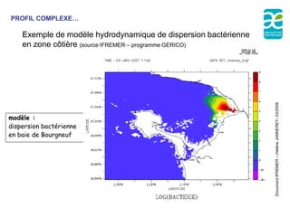 PROFIL COMPLEXE…

    Exemple de modèle hydrodynamique de dispersion bactérienne
    en zone côtière (source IFREMER – programme GERICO)




                                                                 Document IFREMER – Hélène JANNEREY- 03/2008
modèle :
dispersion bactérienne
en baie de Bourgneuf
 