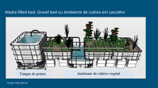Media-filled bed, Gravel bed ou Ambiente de cultivo em cascalho
Fonte: FAO (2014)
 