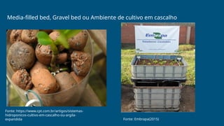 Media-filled bed, Gravel bed ou Ambiente de cultivo em cascalho
Fonte: https://www.cpt.com.br/artigos/sistemas-
hidroponicos-cultivo-em-cascalho-ou-argila-
expandida Fonte: Embrapa(2015)
 