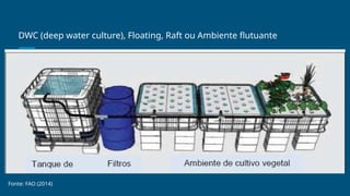 DWC (deep water culture), Floating, Raft ou Ambiente flutuante
Fonte: FAO (2014)
 