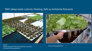 DWC (deep water culture), Floating, Raft ou Ambiente flutuante
Fonte:
https://aquaponiabrasil.wordpress.com/bre
ve-historia-da-aquaponia/
Fonte: Embrapa(2015)
 