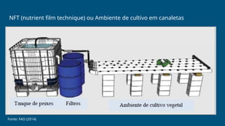 NFT (nutrient film technique) ou Ambiente de cultivo em canaletas
Fonte: FAO (2014)
 