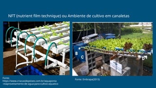NFT (nutrient film technique) ou Ambiente de cultivo em canaletas
Fonte:
https://www.criacaodepeixes.com.br/aquaponia
-reaproveitamento-de-agua-para-cultivo-aquatico
Fonte: Embrapa(2015)
 