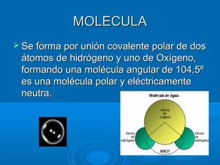 MOLECULAMOLECULA
 Se forma por unión covalente polar de dosSe forma por unión covalente polar de dos
átomos de hidrógeno y uno de Oxígeno,átomos de hidrógeno y uno de Oxígeno,
formando una molécula angular de 104,5ºformando una molécula angular de 104,5º
es una molécula polar y eléctricamentees una molécula polar y eléctricamente
neutra.neutra.
 