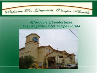 Affordable & Comfortable  The La Quinta Hotel Tampa Florida  